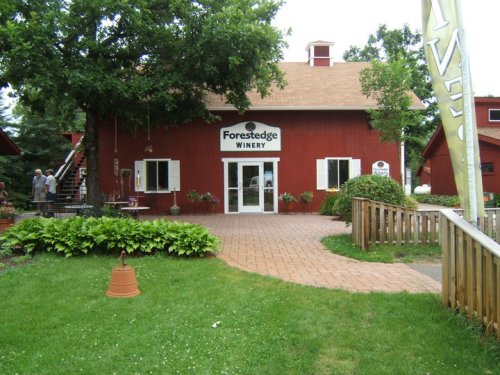 A red barn-style building with "Forestedge Winery" sign, surrounded by greenery and a pathway leading to the entrance.