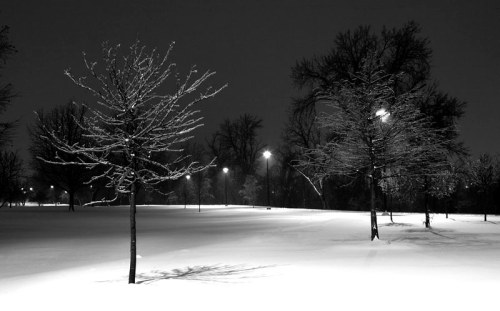 A snowy landscape at night, featuring bare trees and streetlights illuminating the white ground.