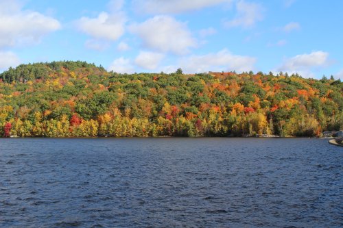 A vibrant autumn landscape with colorful trees reflecting on a calm lake under a blue sky with fluffy clouds.