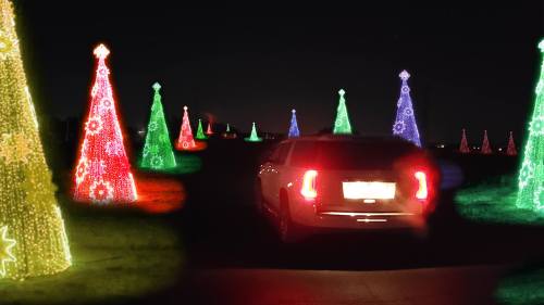 A car drives through a festive display of illuminated Christmas trees in various colors at night.