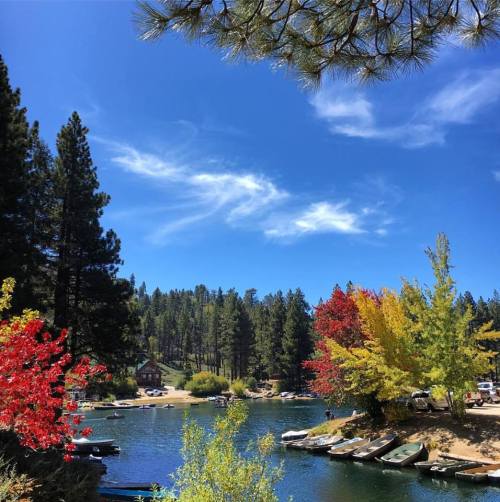 A serene lake surrounded by colorful autumn trees and boats, under a clear blue sky with wispy clouds.