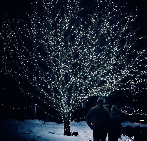 A couple stands together, admiring a tree adorned with bright white lights in a snowy nighttime setting.