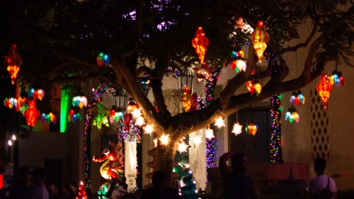 Colorful lanterns and lights adorn a tree, creating a festive atmosphere in a decorated outdoor space.