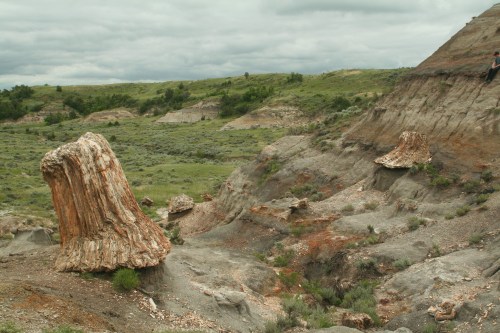 A landscape featuring large petrified tree stumps amidst grassy hills and cloudy skies.