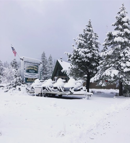 A snowy landscape featuring a sign for "Adventure Tours" and snow-covered trees and equipment.