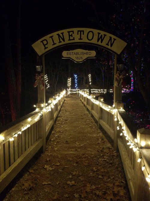 A lit wooden pathway leads through a festive archway reading "PINETOWN," surrounded by trees and holiday lights.