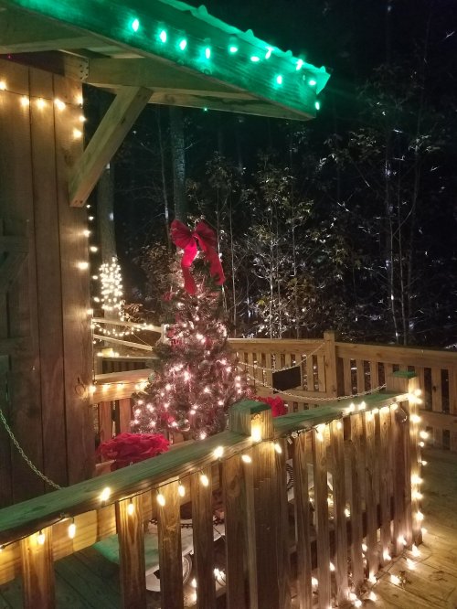 A decorated Christmas tree with lights and bows on a wooden deck, surrounded by festive holiday lights in a dark forest.