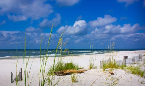 A serene beach scene with white sand, gentle waves, and tall grass under a blue sky with fluffy clouds.