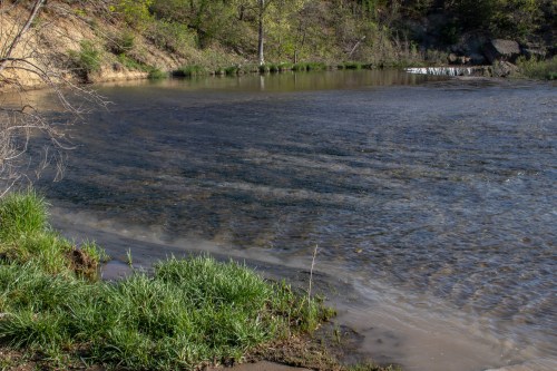 A serene riverbank with clear water, surrounded by lush green grass and trees, reflecting the calmness of nature.