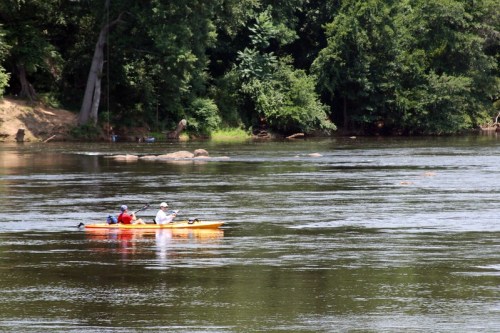 Two people kayaking on a calm river surrounded by lush green trees.