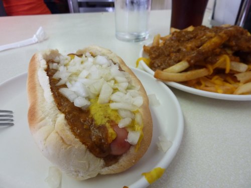 A hot dog topped with onions and mustard, served with a side of chili cheese fries on a plate.