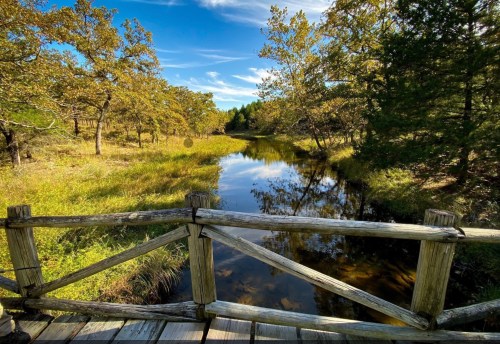 A wooden bridge overlooks a calm stream surrounded by trees and golden grass under a clear blue sky.