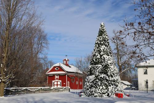 A snowy landscape featuring a red barn and a large evergreen tree, both adorned for the winter season.
