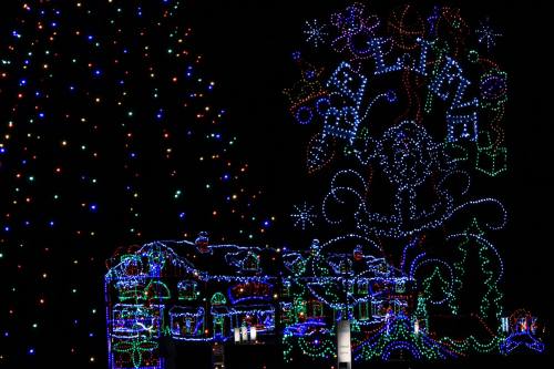 A house and tree adorned with colorful holiday lights against a dark night sky.