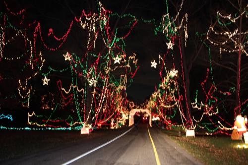 A festive road lined with colorful Christmas lights in red, green, and white, creating a cheerful holiday atmosphere.