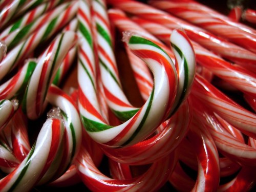 A close-up of colorful candy canes with red and green stripes, arranged in a festive display.