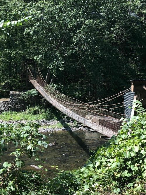 A suspension bridge spans a creek, surrounded by lush green trees and foliage. Sunlight filters through the leaves.