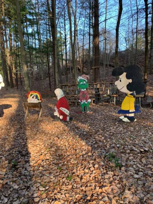 Colorful cartoon characters in a wooded area, surrounded by fallen leaves and picnic tables.