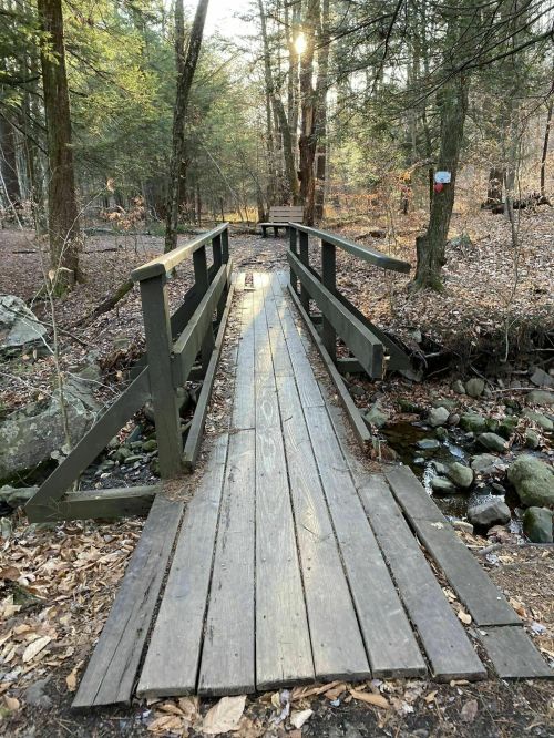 A wooden bridge over a small stream, surrounded by trees and fallen leaves in a serene forest setting.