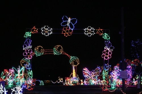 Colorful holiday lights form a decorative arch with flowers and butterflies, illuminating a dark night scene.