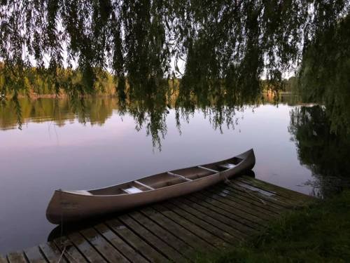 A canoe rests on a wooden dock by a calm lake, surrounded by lush greenery and reflected trees.