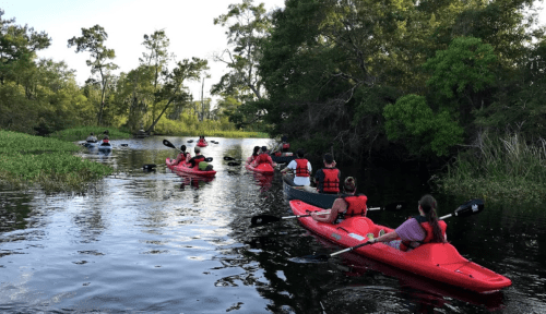 A group of people kayaking in red kayaks along a serene, tree-lined waterway.
