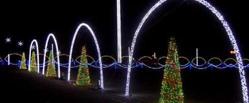 Colorful Christmas lights illuminate a dark night, featuring decorated trees and arching light displays.