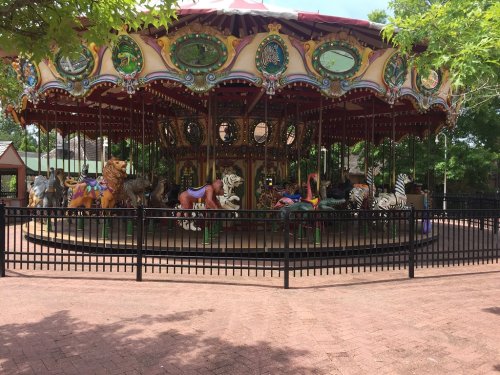 A colorful carousel featuring various animal figures, surrounded by a black fence and greenery.