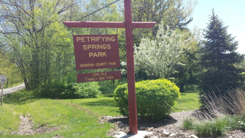 Sign for Petrifying Springs Park, Kenosha County Park, with green trees and shrubs in the background on a sunny day.