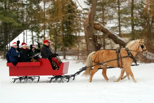 A festive group in Santa hats enjoys a horse-drawn sleigh ride through a snowy landscape.