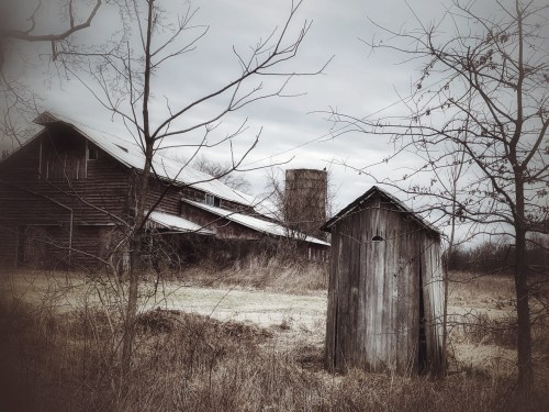 A weathered barn and silo stand beside a rustic wooden shed, surrounded by bare trees and overgrown grass on a cloudy day.