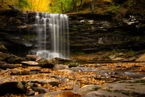 A serene waterfall cascades over rocks, surrounded by autumn foliage and a carpet of fallen leaves.