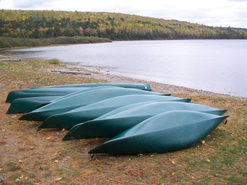 A row of green canoes resting on a sandy shore by a calm lake, surrounded by trees with autumn foliage.