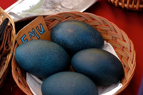 A woven basket containing four large, dark blue emu eggs, with a sign labeled "EMU" beside them.