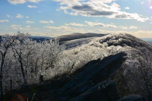 A winter landscape with icy trees and rocky terrain under a bright sky with scattered clouds.