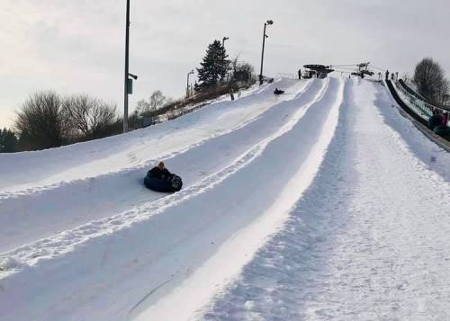 A snowy hill with several people sledding down on inflatable tubes, surrounded by trees and a cloudy sky.