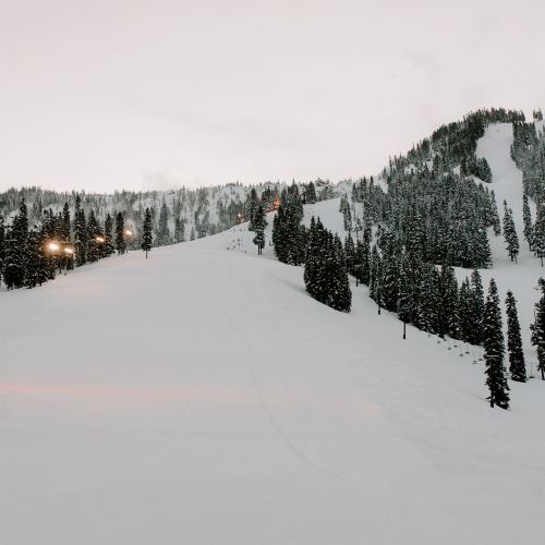 A snowy ski slope surrounded by tall evergreen trees under a cloudy sky.