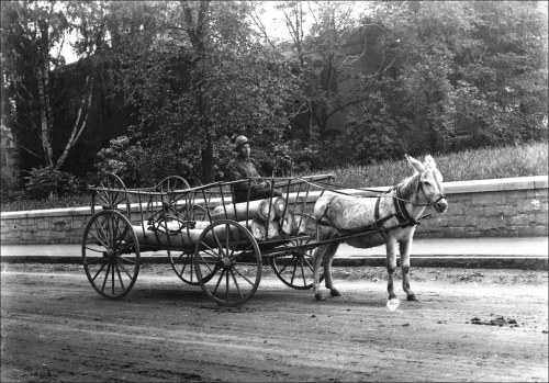A historical black-and-white photo of a man sitting in a cart pulled by a donkey, loaded with logs on a dirt road.
