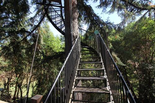 A spiral staircase wrapped around a tree, surrounded by lush greenery and blue sky.