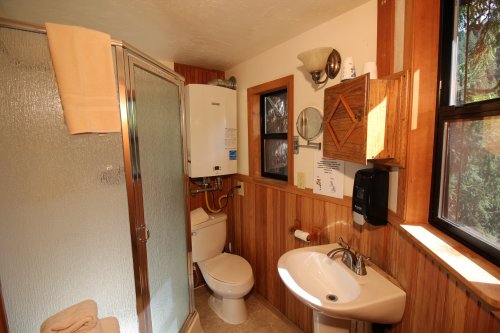 A small bathroom featuring a shower, toilet, sink, and wooden paneling with natural light from a window.