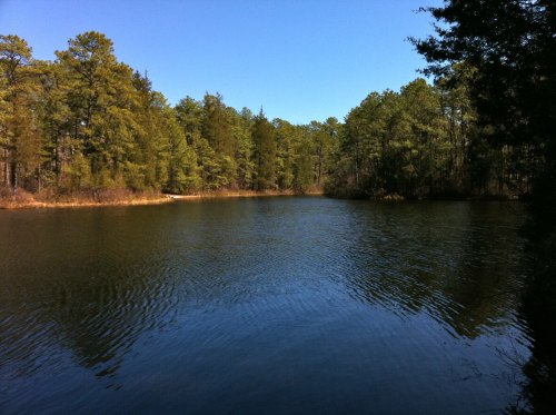 A serene lake surrounded by lush green trees under a clear blue sky. Gentle ripples on the water's surface.