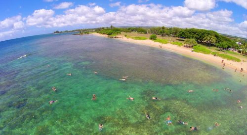 Aerial view of a clear turquoise ocean with people swimming near a sandy beach and lush greenery in the background.