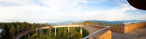 A panoramic view of a forested landscape with a curved walkway and mountains in the distance under a clear sky.