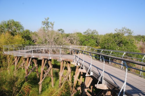A wooden walkway on stilts surrounded by lush greenery under a clear blue sky.