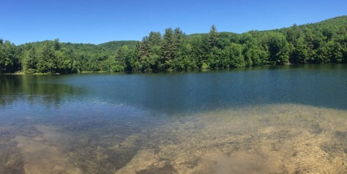 A serene lake surrounded by lush green trees under a clear blue sky. The water is calm and reflects the landscape.