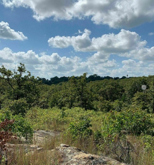 A scenic view of a lush green landscape with trees and a blue sky dotted with fluffy white clouds.