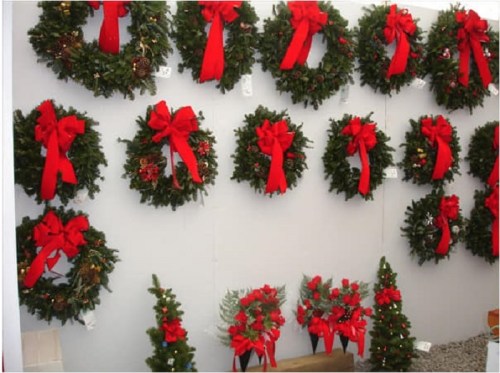A display of festive Christmas wreaths adorned with red bows, hanging on a wall, alongside small decorated trees.