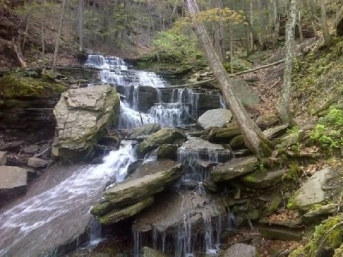 A serene waterfall cascading over rocks in a lush forest, surrounded by trees and greenery.