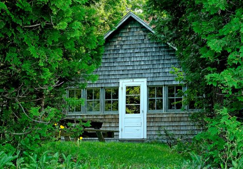 A rustic wooden cabin surrounded by lush greenery, featuring a white door and large windows.