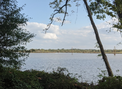 A serene lake view framed by trees, with distant land and a cloudy sky in the background.